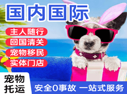 东阳横店航空物流国际宠物托运 【国